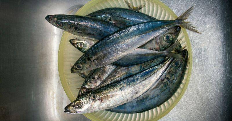 unsplash/leo lecatompessy